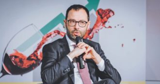 Copertina di Patuanelli: “Governo a rischio? No, se ricorda i motivi per i quali è nato”