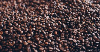 Copertina di 500 chili di cocaina al posto dei chicchi di caffè Nespresso: la clamorosa scoperta dei lavoratori mentre scaricavano i container