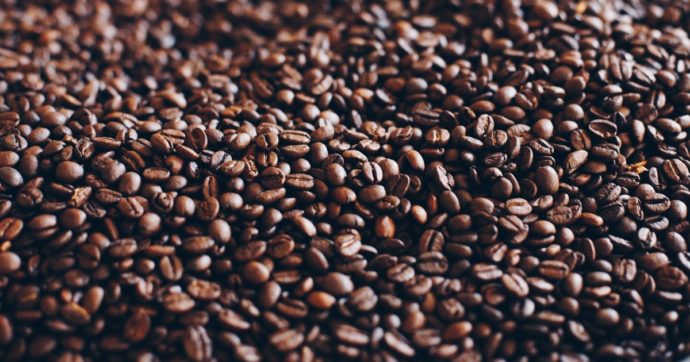 500 chili di cocaina al posto dei chicchi di caffè Nespresso: la clamorosa scoperta dei lavoratori mentre scaricavano i container