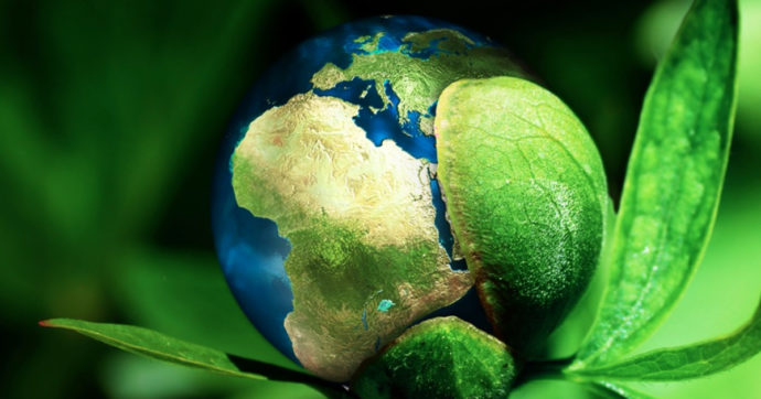 Biocarburanti, le compagnie petrolifere chiedono di sospendere la miscelazione della benzina: distillatori in rivolta