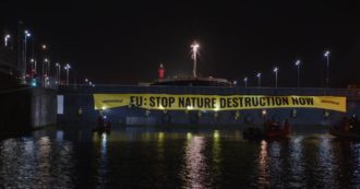 Copertina di Greenpeace blocca una nave carica di soia da destinare agli allevamenti di animali: l’azione a Amsterdam – Video