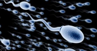 Copertina di Il numero degli spermatozoi si è ridotto di oltre il 50%. Cause ed effetti per la nostra specie
