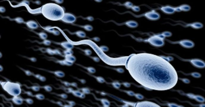 Il Covid lieve danneggia anche gli spermatozoi, anche a distanza di tre mesi all’infezione
