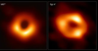Copertina di E se l’Universo fosse un organismo vivente che si riproduce attraverso i buchi neri? La nuova teoria del fisico Lee Smolin
