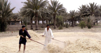 Se la fame globale cresce, non è tutta colpa della guerra. Ecco alcuni miti da sfatare