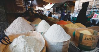 Copertina di Neanche l’olio di palma ci salva: il cibo costa ogni giorno di più