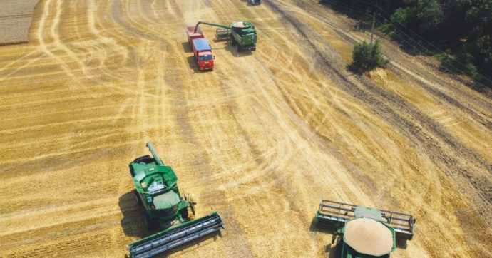 Crisi alimentare, la Fao: “A milioni rischiano la fame in Africa e Asia”