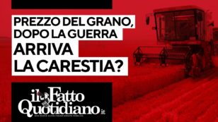 Copertina di Aumenta il prezzo del grano: dopo la guerra arriva la carestia? Segui la diretta con Peter Gomez