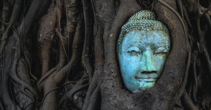 Copertina di David R. Loy: “Ecco la via buddista alla crisi ecologica”