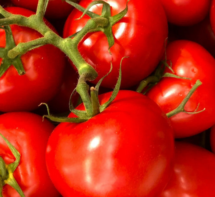 Le migliori passate e polpe di pomodoro al supermercato: la classifica di Altroconsumo