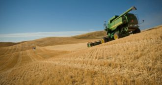 Il ministro ucraino Kuleba: “Trovate due rotte terrestri alternative per esportare il grano bloccato dalla guerra”
