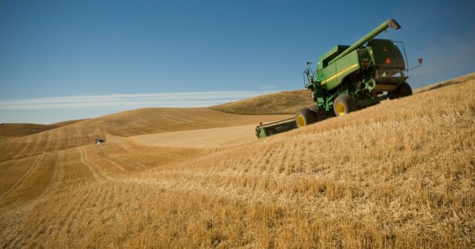 Crisi del grano, cruciale l’appello Ue alla cooperazione internazionale