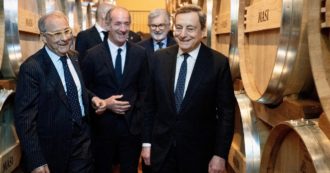 Copertina di Pugnalata alla Valpolicella. La cantina è un ecomostro