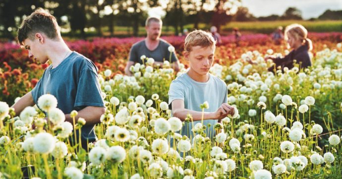 Copertina di Il “Dolce Rémi” è da Palma col suo amore omoerotico