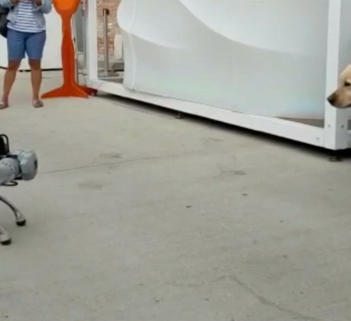 Apre a Torino il primo negozio di cani robot: “Sono perfetti da guardia per le ronde notturne, ma giocano e fanno capriole come i veri cuccioli”. Ecco quanto costano