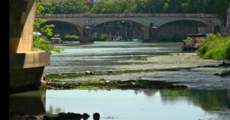 Copertina di Siccità, anche il Tevere è senz’acqua: l’abbassamento del fiume nella zona di Castel Sant’Angelo – Video