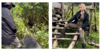 Copertina di Icardi fa pipì accanto al gorilla (e bacia sulla bocca una giraffa): il video diventa virale