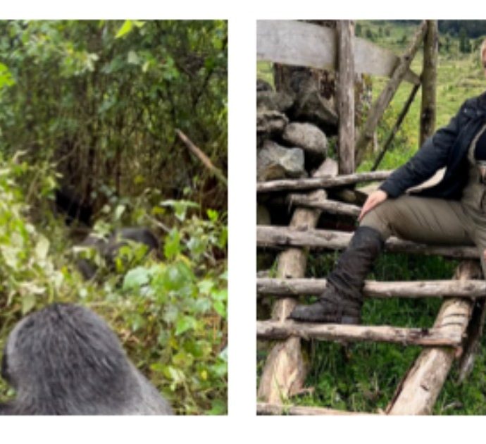Icardi fa pipì accanto al gorilla (e bacia sulla bocca una giraffa): il video diventa virale