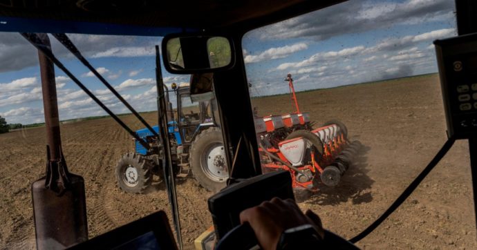 “Mesi per sminare”. Il grano dall’Ucraina non arriverà presto