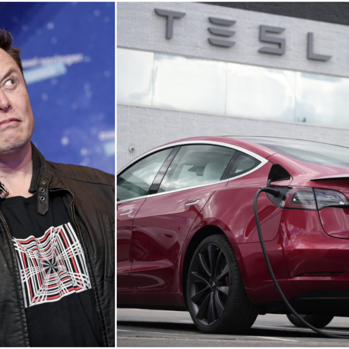 Tesla Model Y, arriva la versione “low cost” del suv elettrico di Elon Musk: ecco quanto costa