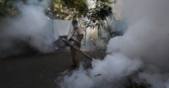 Copertina di Emergenza Dengue a Singapore, superati gli 11mila casi. Gli esperti: “Con il cambiamento climatico si diffonderà nel mondo”