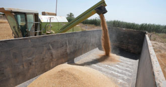 Cremlino: “Nessun accordo con la Turchia per sbloccare l’export di grano ucraino”. Ferme nei depositi 20 milioni di tonnellate