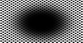 Copertina di Ecco l’effetto di questa illusione ottica sul nostro cervello: il nuovo studio sui meccanismi che ingannano i nostri sensi