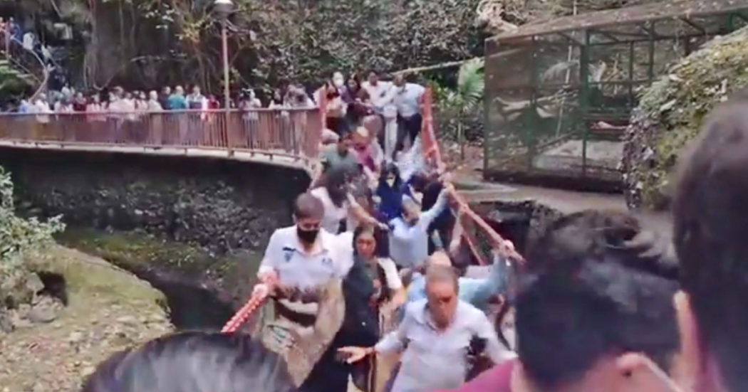 Il ponte sospeso crolla all’improvviso durante la cerimonia di inaugurazione: sindaco, moglie e decine di cittadini cadono nel vuoto – VIDEO