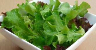 Copertina di Dimagrire nel modo giusto? Ecco le diete e i comportamenti da evitare. Pigozzi: “Insalata? Se consumata come antipasto ok…”