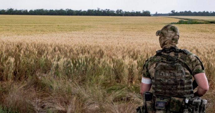 Copertina di Grano ucraino, tutti ne parlano ma l’emergenza sta per scoppiare