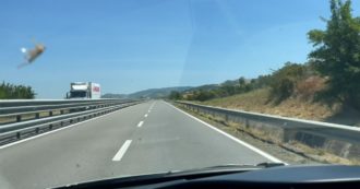 Copertina di Sardegna, migliaia di cavallette colpiscono le auto in viaggio sulla statale 131 e muoiono nell’impatto