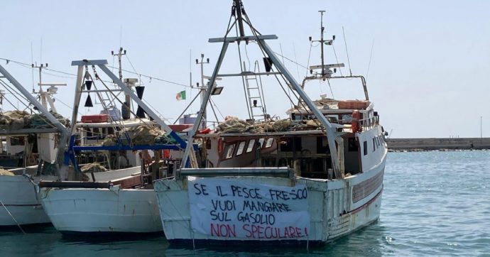 Copertina di La pesca europea va con le reti a strascico (ma solo per i sussidi)