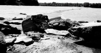 Copertina di La fisica non mente. Ci restano 10 anni