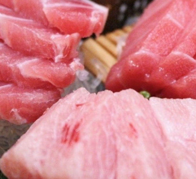 Cena di pesce da 508 euro a San Benedetto del Tronto, interviene lo chef Omar Leccesi: “È cicala, non spaghetto con tonno in scatola”