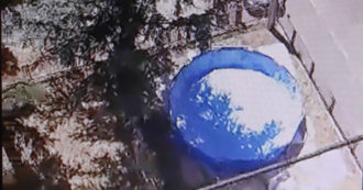 Copertina di Monta una piscina prefabbricata in un’aiuola pubblica: multata e denunciata a Napoli