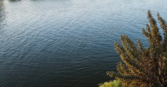 Copertina di Zambia, vermi letali per le donne presenti nell’acqua con “effetti fatali”