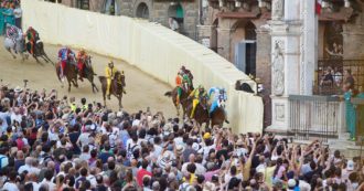 Copertina di Palio di Siena, animalisti denunciano organizzatori per maltrattamenti. Escluse due contrade per infortuni ai cavalli