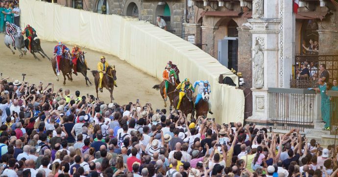 Palio di Siena, animalisti denunciano organizzatori per maltrattamenti. Escluse due contrade per infortuni ai cavalli