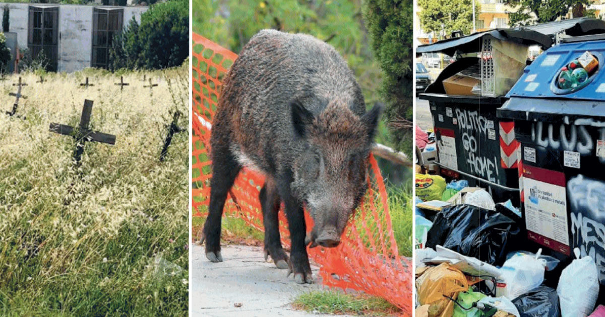 La Roma di Gualtieri tra rifiuti, incendi, cinghiali e l’erba che cresce anche nei cimiteri. Tutti i problemi irrisolti di un primo cittadino in cerca di sponde politiche