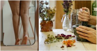 Copertina di Guida alla prova costume, ecco come intervenire con piante e preparati ad hoc contro cellulite e buccia di arancia: “In primis centella e pungitopo”