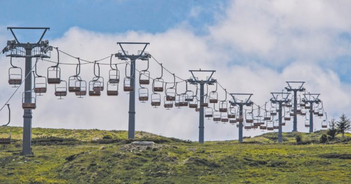 L’ultima apocalisse: un insetto killer distrugge i boschi