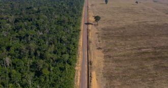 Copertina di Brasile, nei primi sei mesi dell’anno deforestati 4mila chilometri quadrati di foresta Amazzonica: tasso di disboscamento record