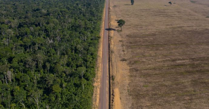 Brasile, nei primi sei mesi dell’anno deforestati 4mila chilometri quadrati di foresta Amazzonica: tasso di disboscamento record