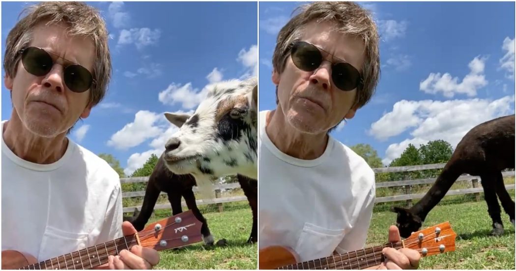 “Non ho resistito… sono 64”, Kevin Bacon festeggia il compleanno in fattoria con ukulele, capre e Beatles