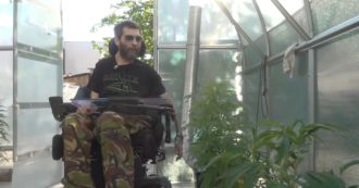 Copertina di Cannabis terapeutica, a Torino la serra gestita da disabili per avere le cure che lo Stato non garantisce: “Siamo pazienti non delinquenti”