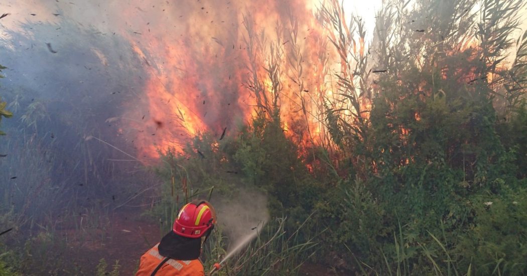Incendi in Sardegna, la Regione paga i privati per pattugliare le strade e le associazioni di volontariato insorgono: “Sperpero di denaro”