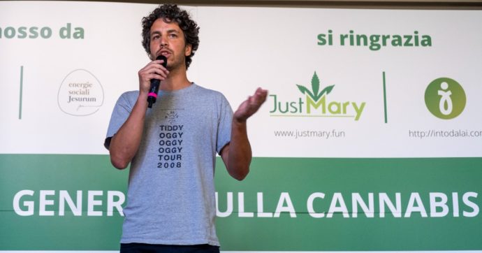 Cannabis, Mattia Santori racconta: “In casa coltivo tre piantine per il mio consumo ricreativo, così non alimento la criminalità”