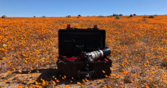 Per un safari o un viaggio in Africa, ecco a cosa non si può proprio rinunciare