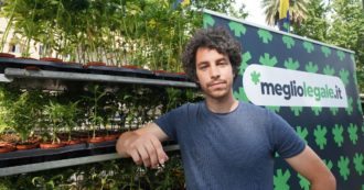 Copertina di Cannabis, il sindaco Pd Lepore riprende Santori: “La legge va rispettata, spero Mattia non voglia sprecare tutto”