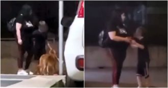 Copertina di Foggia, abbandona il cane tra le lacrime del figlio: lo lega a un palo e se ne va. Donna identificata e denunciata (video)